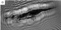 Stacks Image 86