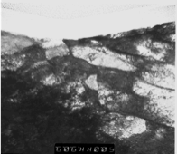Stacks Image 83